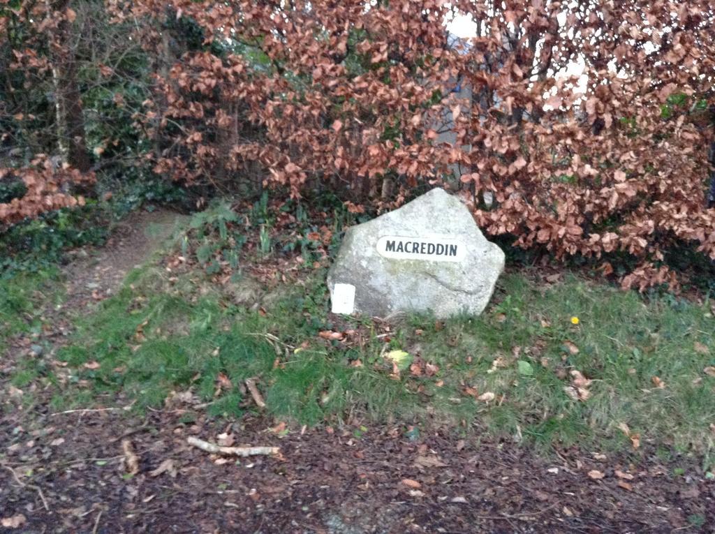 Macreddin Rock Bed & Breakfast Aughrim Eksteriør bilde