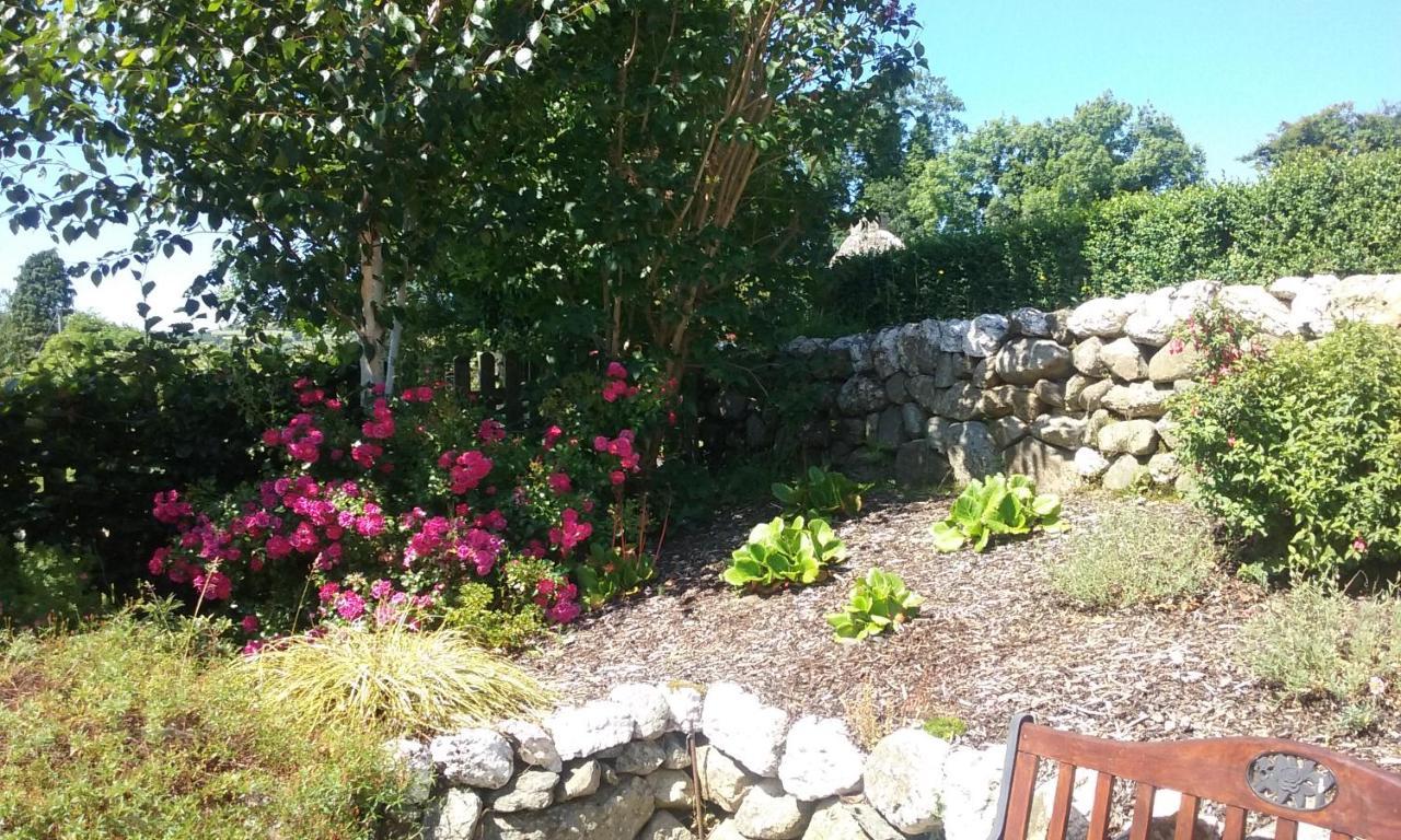 Macreddin Rock Bed & Breakfast Aughrim Eksteriør bilde