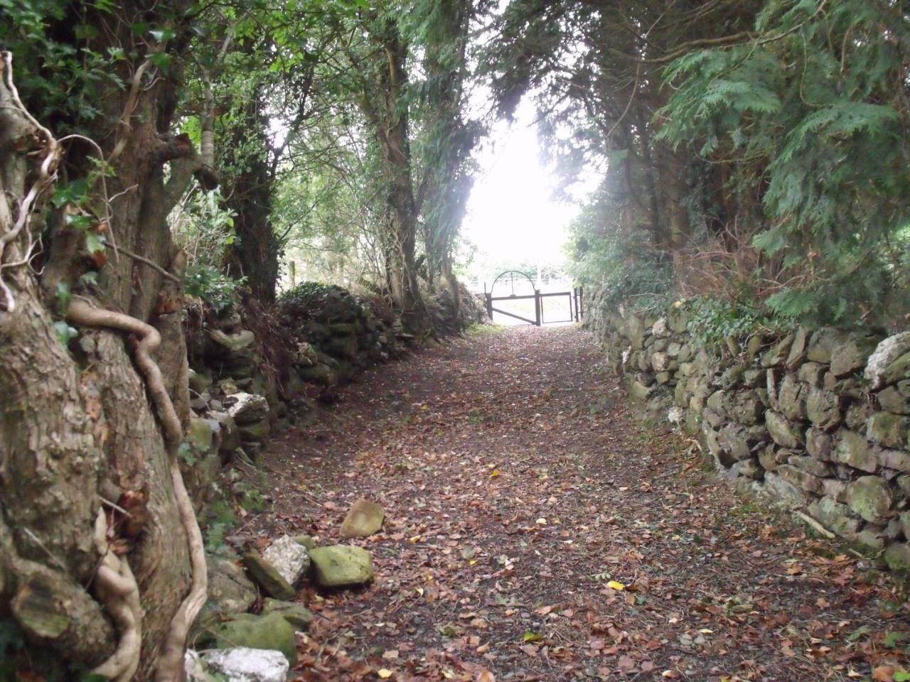 Macreddin Rock Bed & Breakfast Aughrim Eksteriør bilde